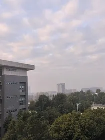 许许哀袁