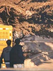 TNT：慢慢叙述的故事