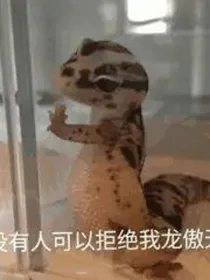 异界：系统霸霸带我飞