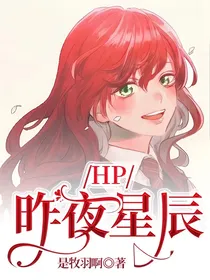 HP：昨夜星辰