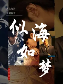 TF家族：似海如梦