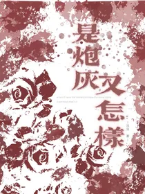 是炮灰又怎样