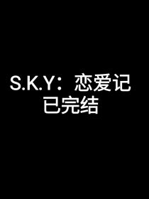 SKY：恋爱记
