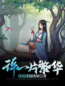 许一片繁华-d303