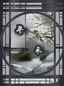 寻禾