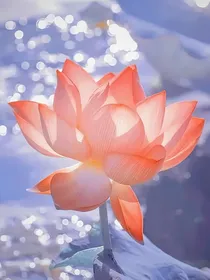 倾城佳话
