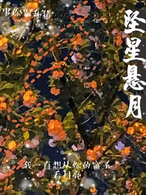 坠星悬月