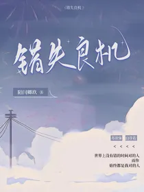 错失良机N