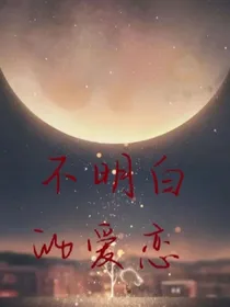 不明白的爱恋