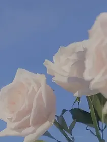 时光与你都很甜：陆少的心尖宠