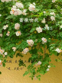 蔷薇吻我