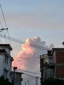 渡你不渡我