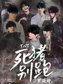 TNT：死猪别跑！