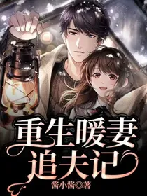 重生暖妻追夫记