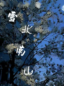 雪北南山