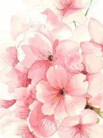 桃花流落