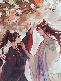 假如蓝忘机失忆了
