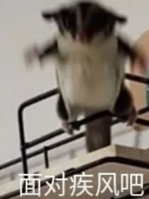 忆影