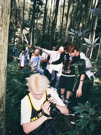 SEVENTEEN：林间月光