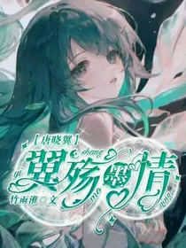 查九：翼殇墨情