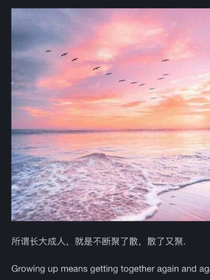 文案Binon