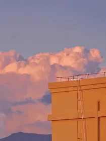 顾家大小姐是ss？
