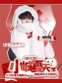 TF三代：小城夏天