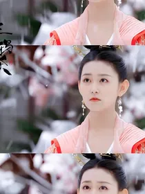 晓诏