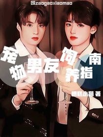 宠物男友饲养指南
