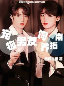 宠物男友饲养指南