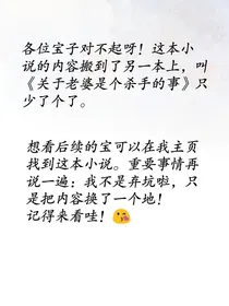 关于老婆是个杀手的事儿