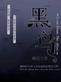 寻路归途（黑鸟）