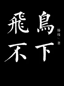 飞鸟不下