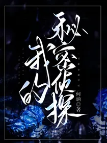 我的秘密侦探