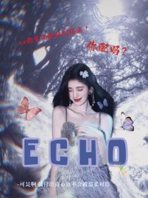TF三代：echo