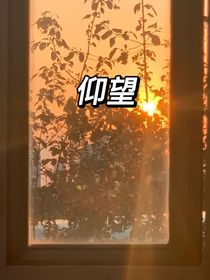 仰望（暗恋）