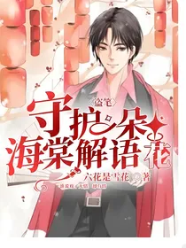 盗笔：守护一朵海棠解语花