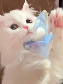 丫头不准放肆