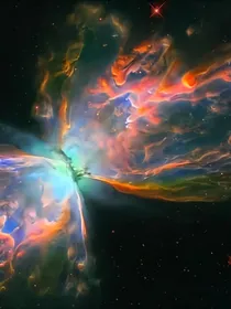 墨染星瑾
