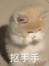 水文案馆-d885