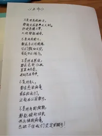 金瓜的作死日常