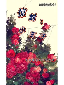 惊封：小王子