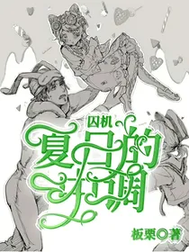囚机：夏日的前调
