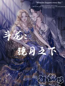 斗龙：镜月之下