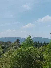 我和我的坏大叔
