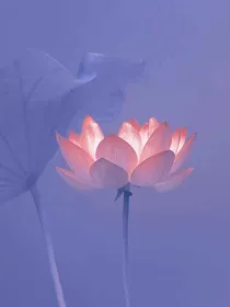 我的一生：