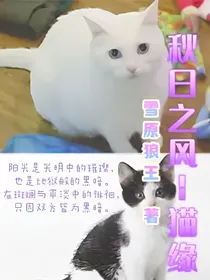 秋日之风——猫缘（新）