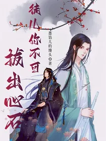 徒儿你不可拔出心石