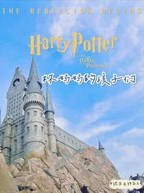 HP：林妈妈的孩子们