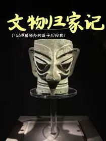 文物归家记